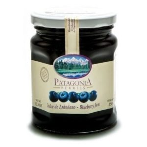 dulce arandanos patagonia 350 gr