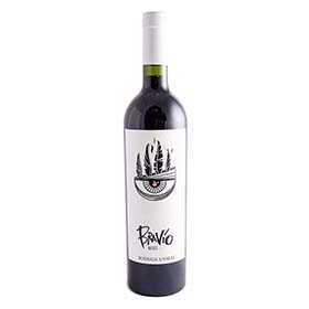 vino malbec bravio 750 ml